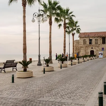 Olive Island 2 Λάρνακα